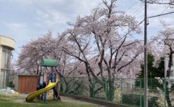 なかよし学園にようこそ！！