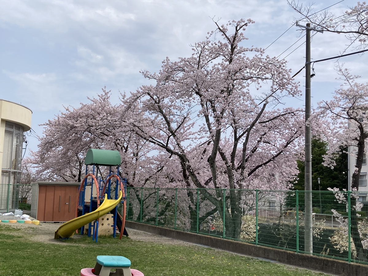 なかよし学園にようこそ!!